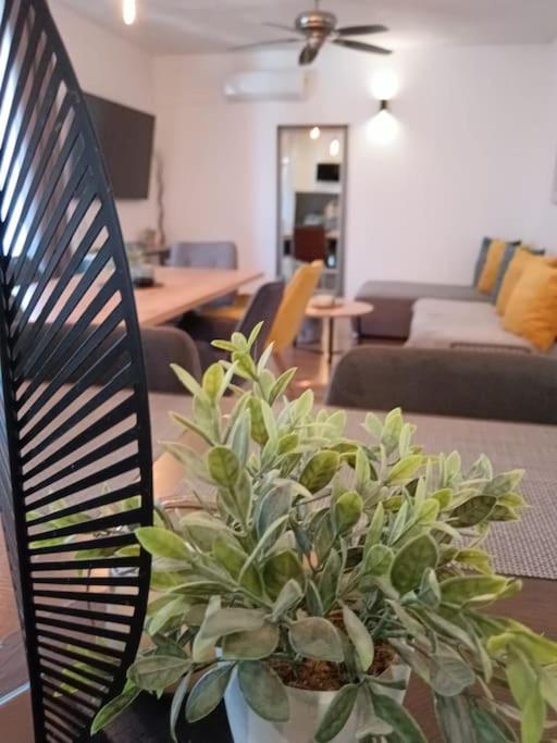 Holiday&Suite Klanac Vir Zewnętrze zdjęcie
